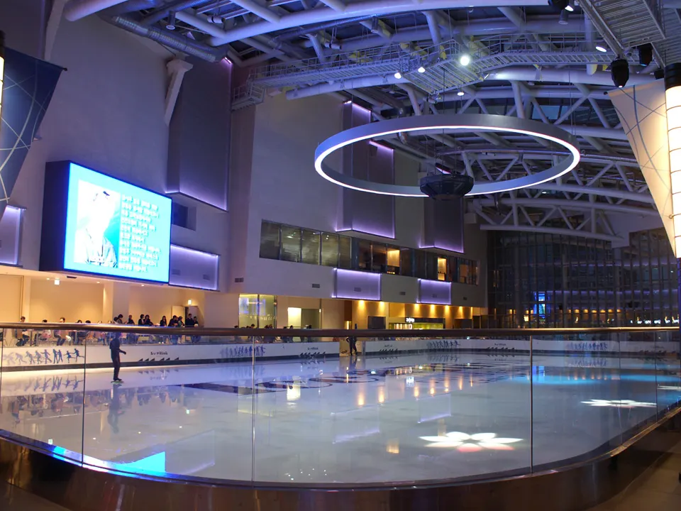 SHINSEGAE DEPARTMENT CENTUM CITY STORE(SPECIAL): 4F ICERINK