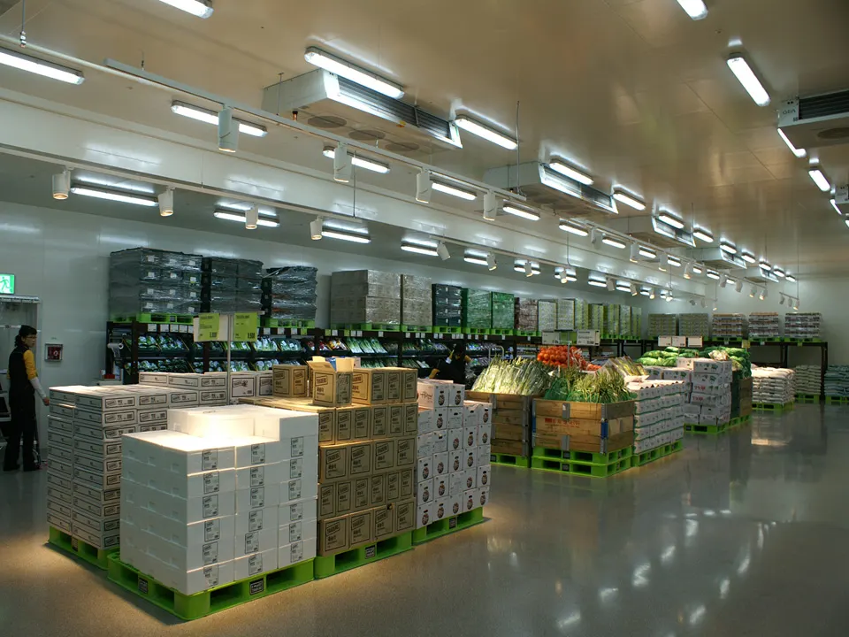 E-MART TRADERS GUSEONG STORE: VEGETABLE COOLING ZONE
