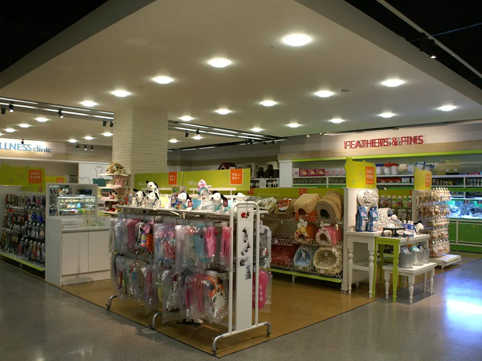 E-MART TRADERS SONGNIM STORE: Molly's